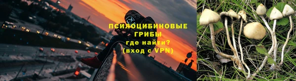 гашик Алзамай