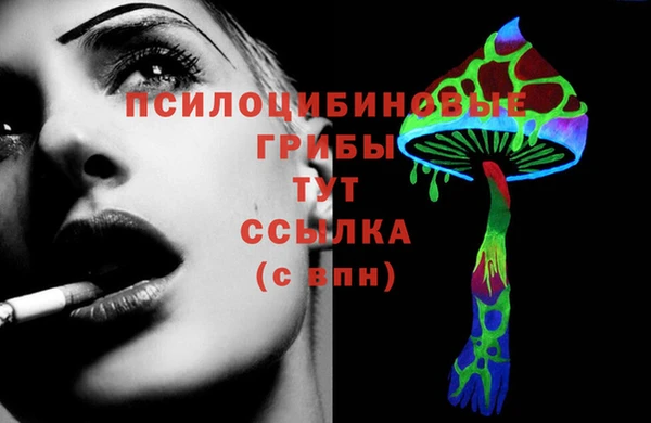 ГАЛЛЮЦИНОГЕННЫЕ ГРИБЫ Покачи